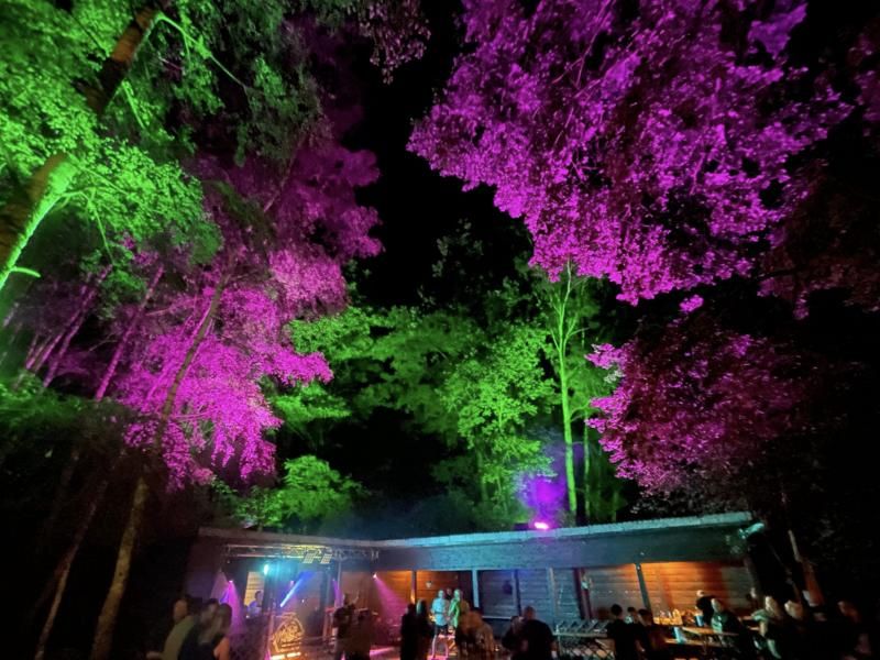 Bäume in Grün und Magenta angestrahlt über einer Outdoor-Party